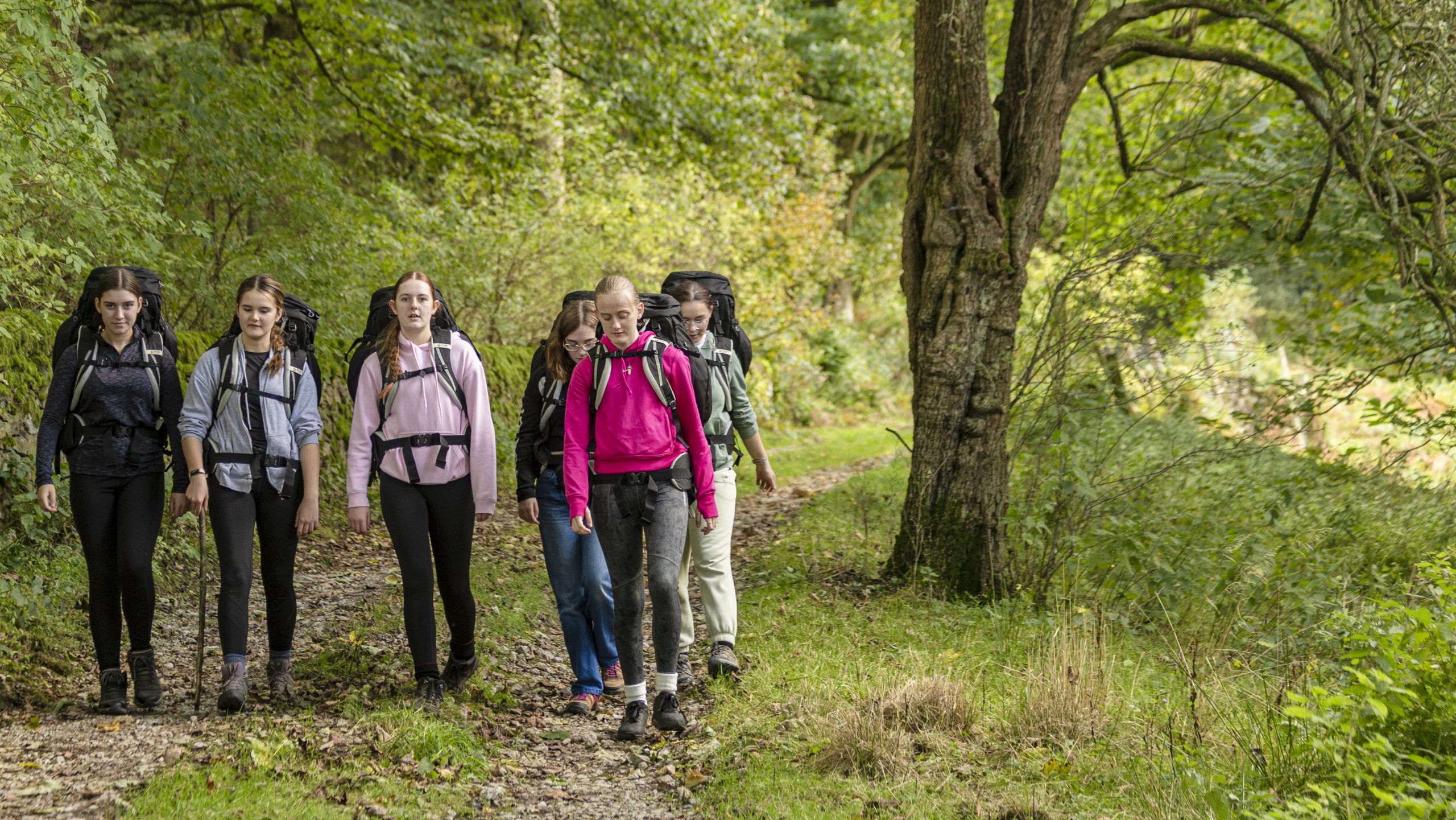 A group of six hikers walking along a forest path surrounded by lush greenery. They are wearing backpacks and casual outdoor clothing, with some wearing jackets and others in long sleeves. The scene is peaceful, with tall trees lining the path and dappled sunlight filtering through the leaves.
