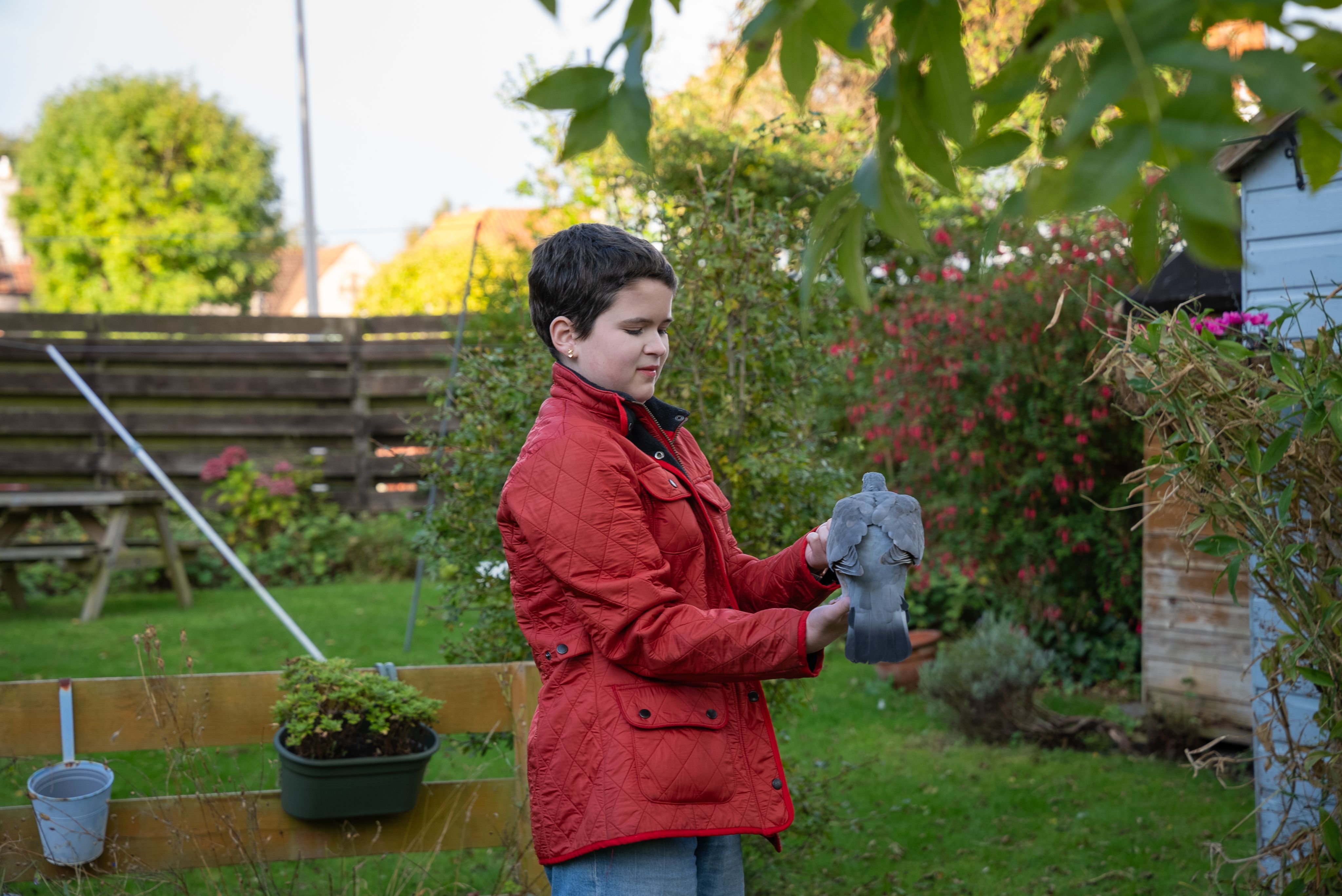 Rosa wearing a red jacket stands in a garden, holding a grey pigeon. The garden is lush with greenery, flowers, and a wooden fence in the background. Rosa appears focused on the pigeon, with trees and a shed visible in the scene.